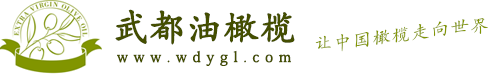 武都油橄榄网